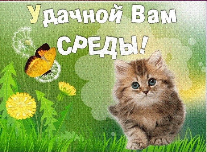 Открытки